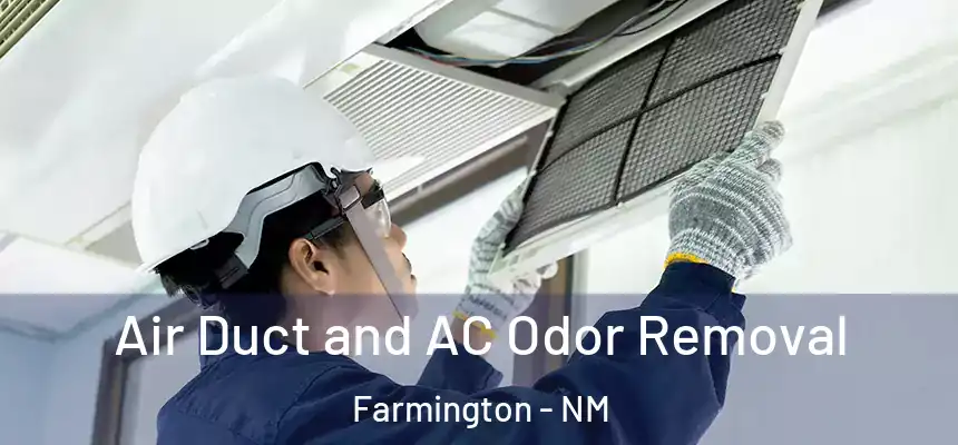 Air Duct and AC Odor Removal Farmington - NM