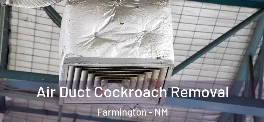  Air Duct Cockroach Removal Farmington - NM