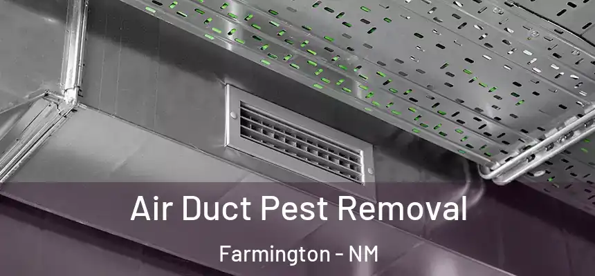  Air Duct Pest Removal Farmington - NM