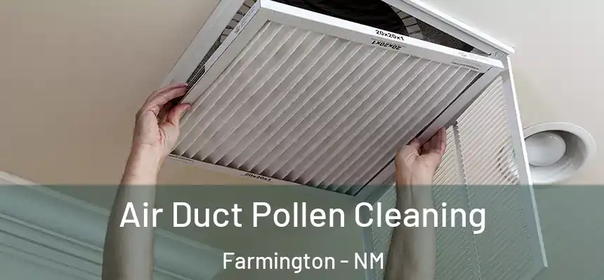 Air Duct Pollen Cleaning Farmington - NM