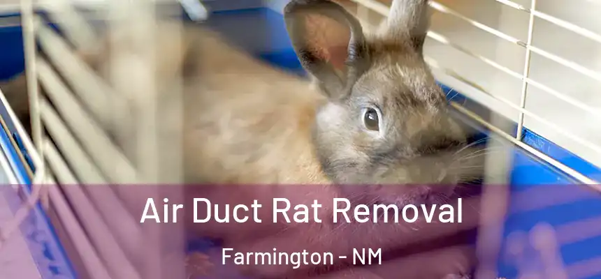 Air Duct Rat Removal Farmington - NM