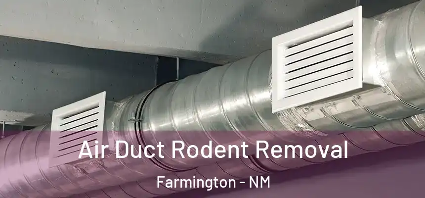  Air Duct Rodent Removal Farmington - NM