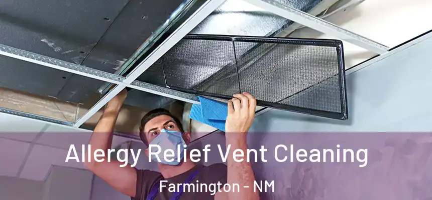  Allergy Relief Vent Cleaning Farmington - NM