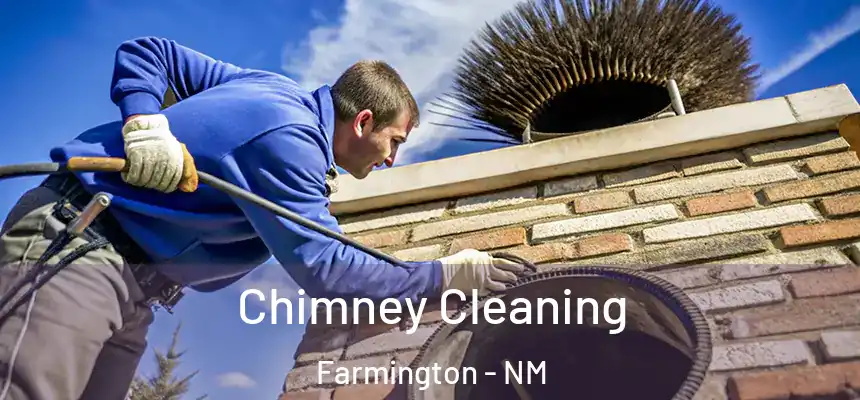  Chimney Cleaning Farmington - NM