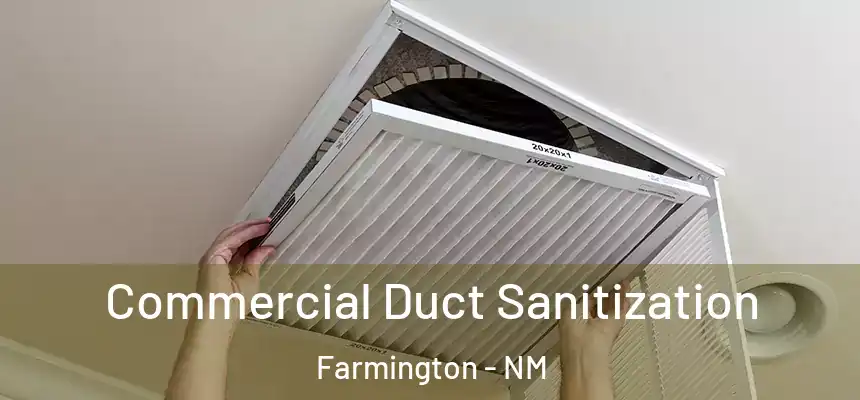 Commercial Duct Sanitization Farmington - NM
