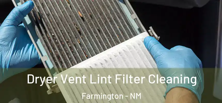  Dryer Vent Lint Filter Cleaning Farmington - NM