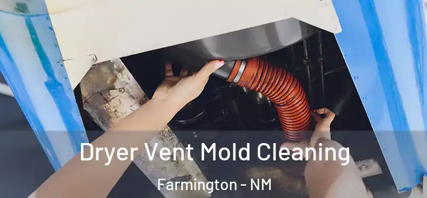 Dryer Vent Mold Cleaning Farmington - NM