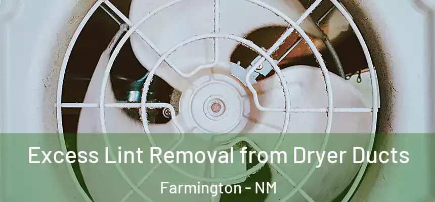 Excess Lint Removal from Dryer Ducts Farmington - NM