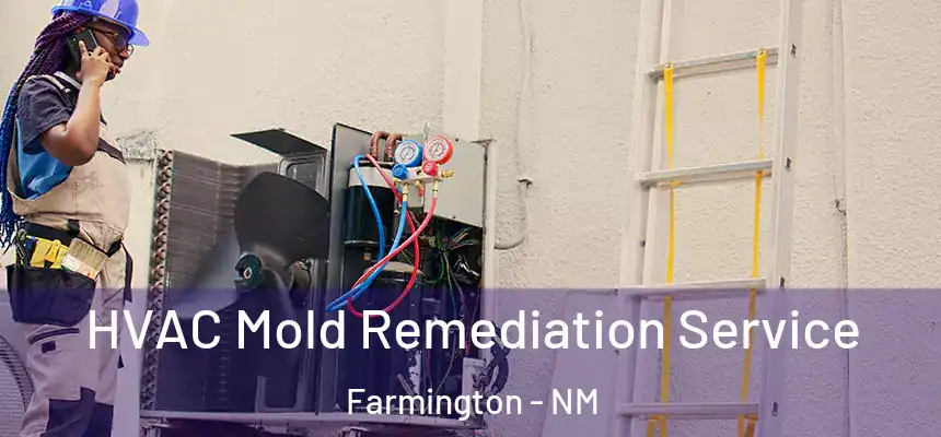 HVAC Mold Remediation Service Farmington - NM