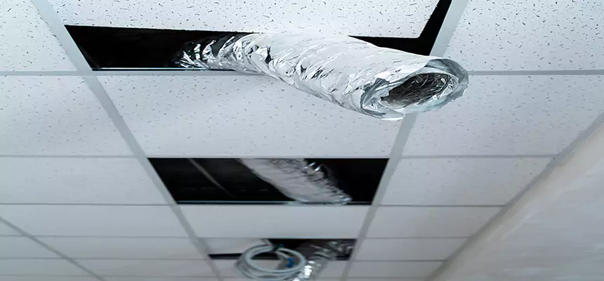 Our Air Duct Pet Hair Removal Services in Farmington, NM