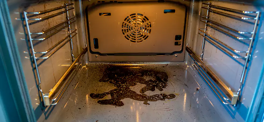 Our Dryer Vent Mold Cleaning Services in Farmington, NM