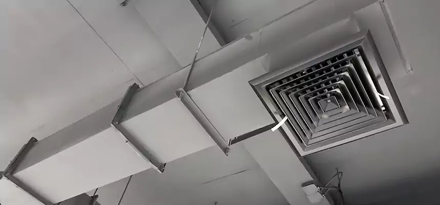 Our Rodent Droppings In Vents Services in Farmington, NM