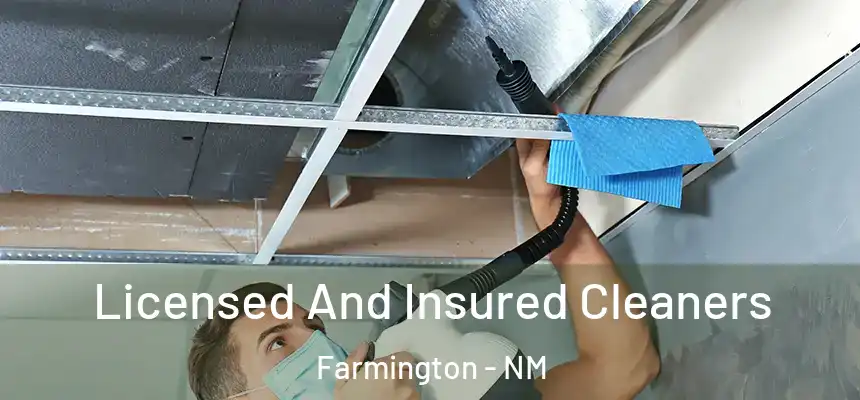 Licensed And Insured Cleaners Farmington - NM