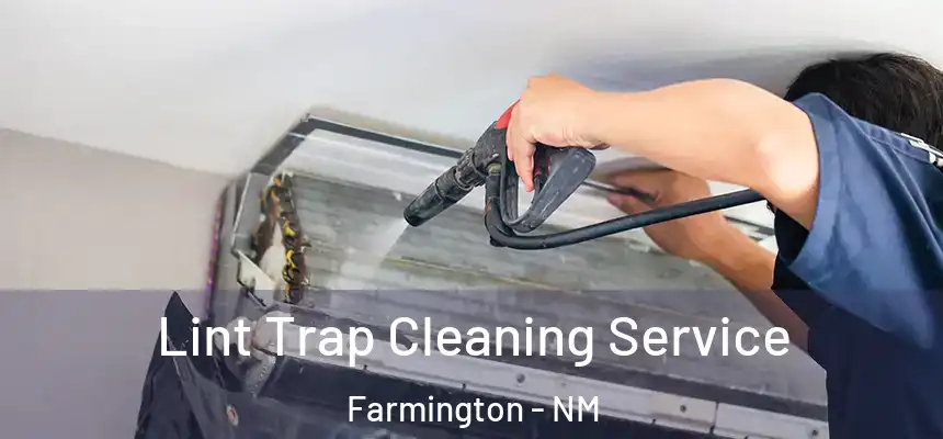 Lint Trap Cleaning Service Farmington - NM