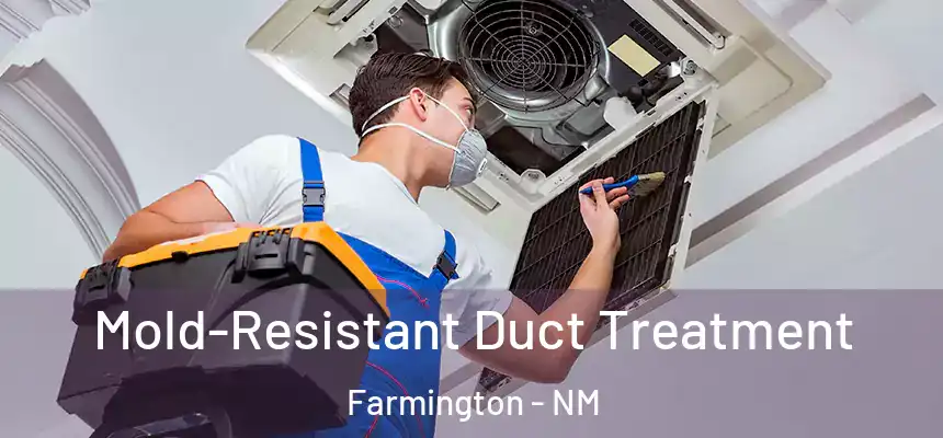 Mold-Resistant Duct Treatment Farmington - NM