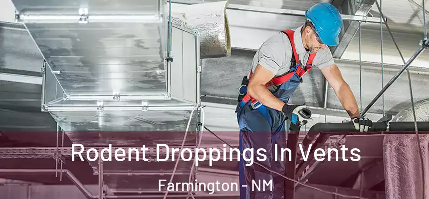 Rodent Droppings In Vents Farmington - NM
