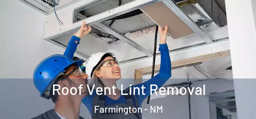 Roof Vent Lint Removal Farmington - NM