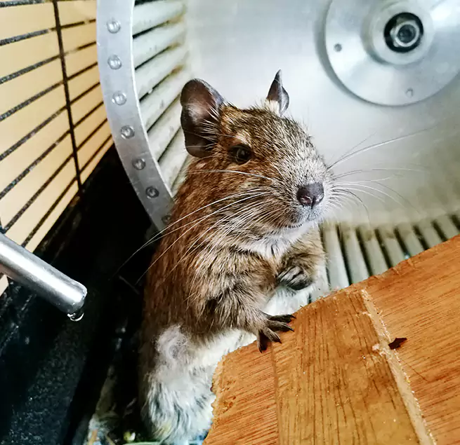 Why Homeowners & Businesses Trust Us Farmington, NM